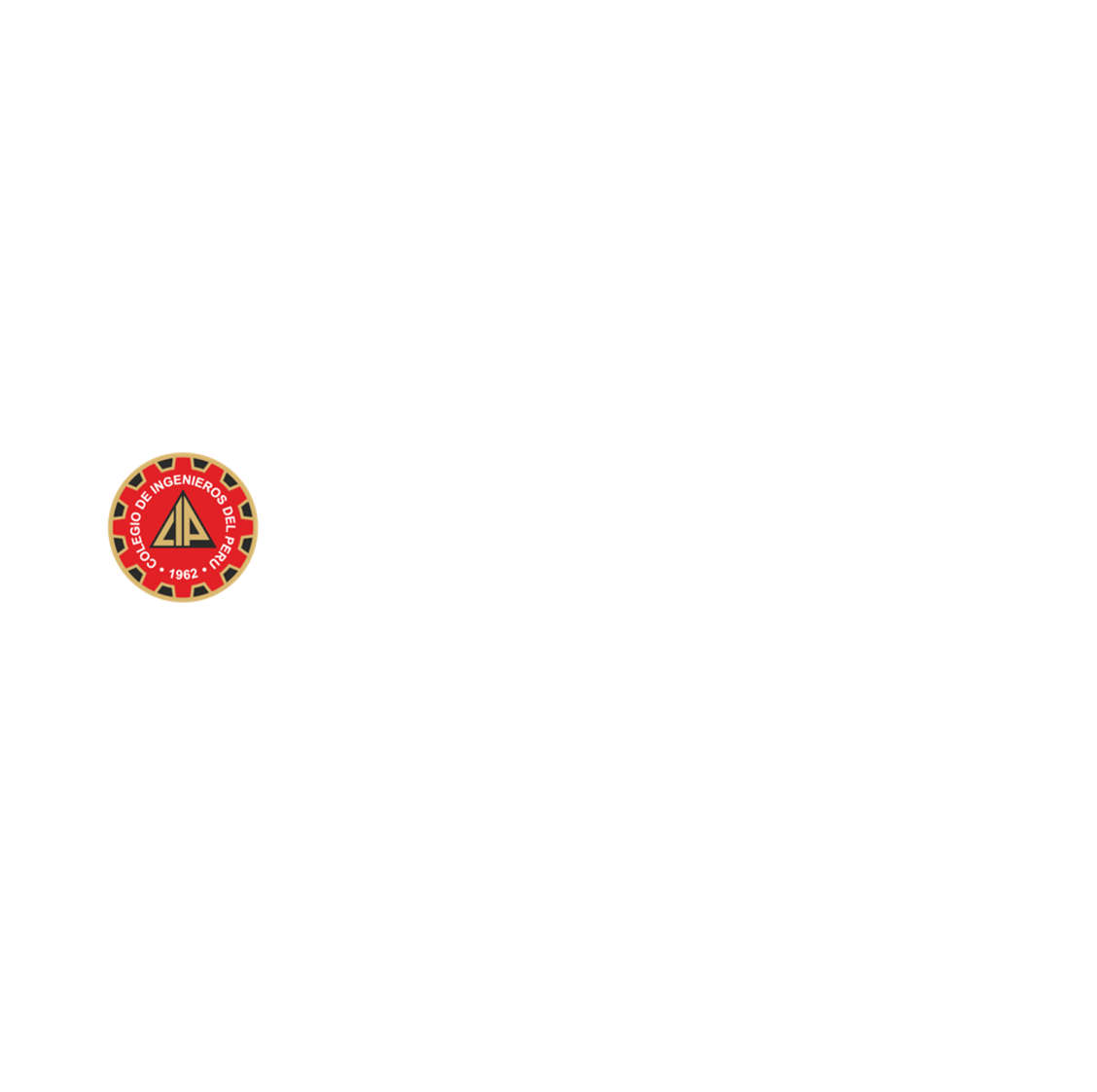 Consejo Nacional Joven Ingeniero y Futuros Líderes
